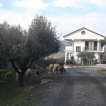 Bed & Breakfast L'Uliveto